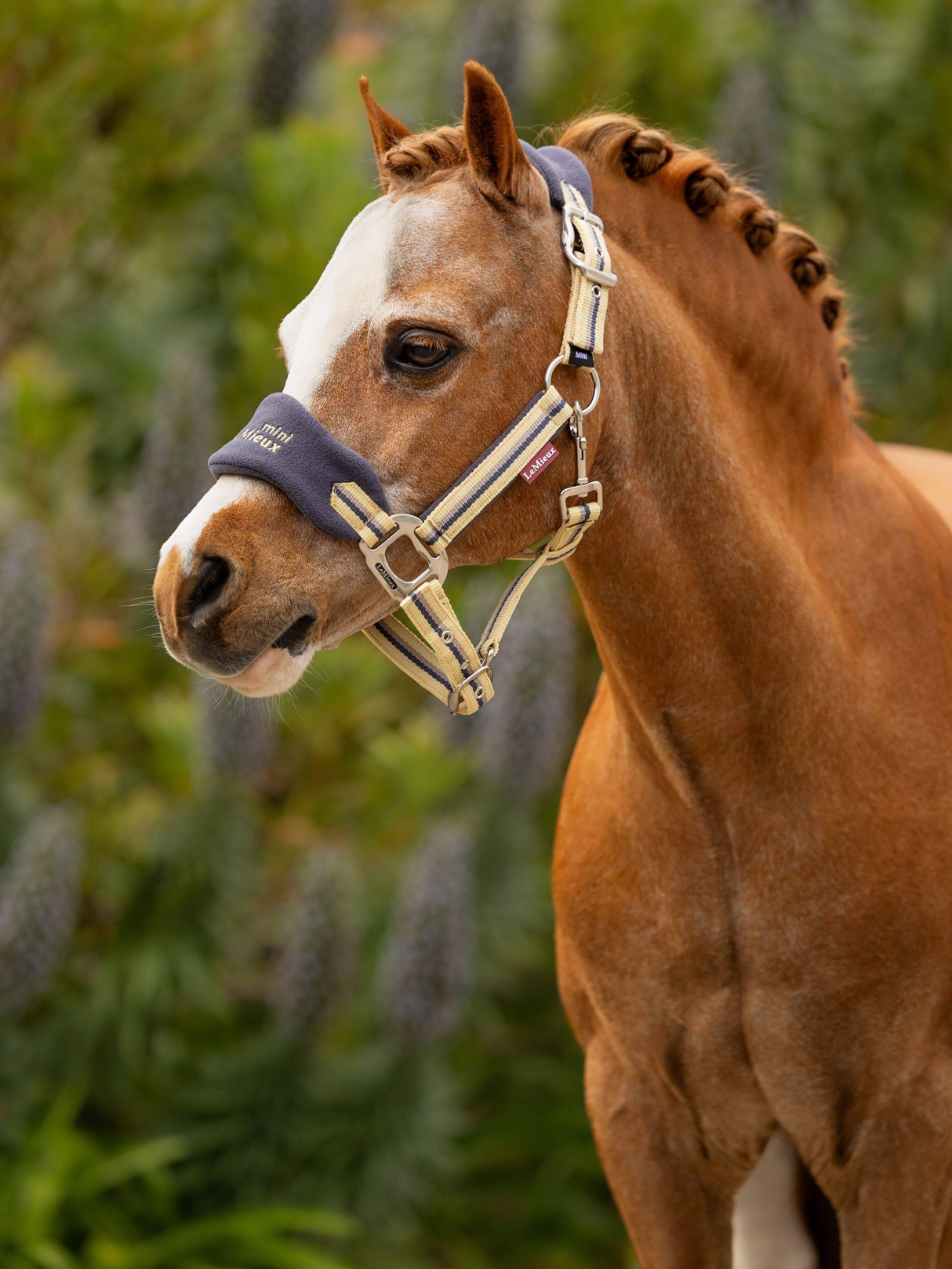 LeMieux Mini Vogue Headcollar & Leadrope Dusk Blue