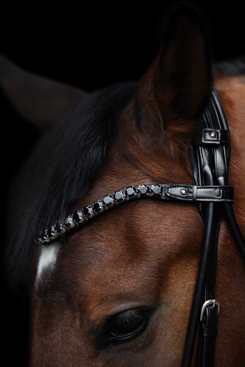 Utzon Equestrian Empire Browband Ebony