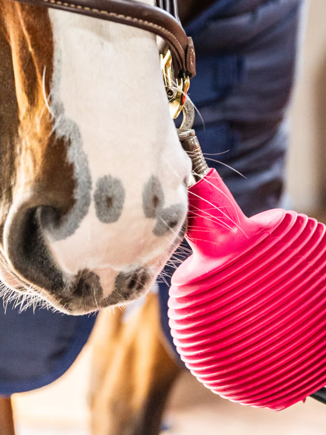 Kentucky Horsewear Lead & Wall Protection Rubber Ball Pro Pink