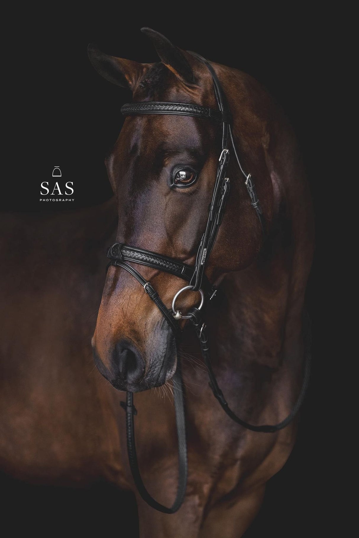 Utzon Equestrian Grand Prix Bridle