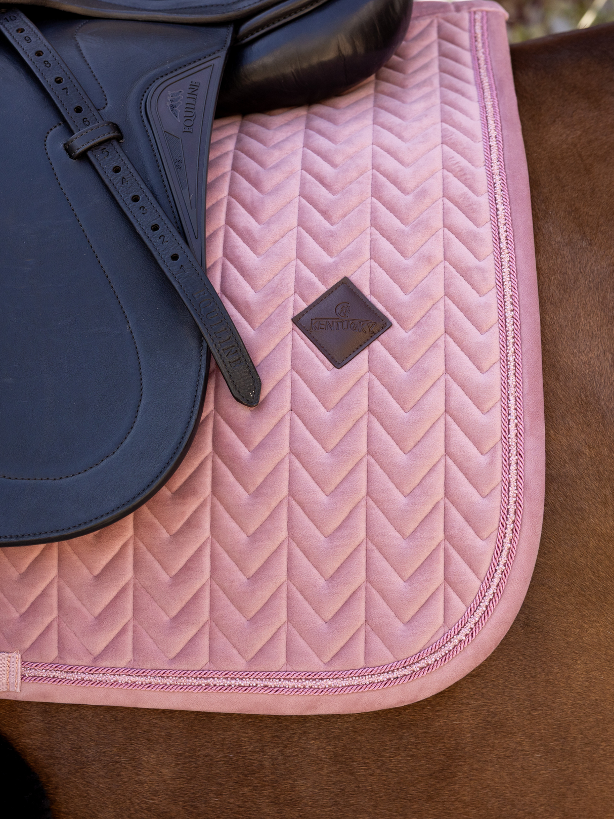 Kentucky Velvet Mini Pearls Dressage Saddle Pad Old Rose
