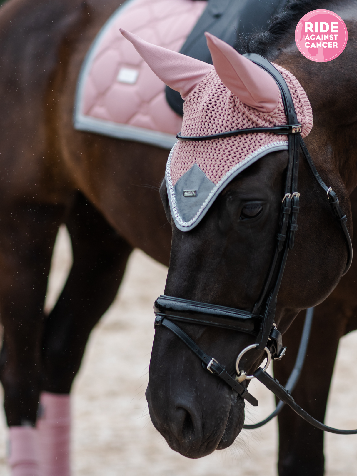 Equestrian Stockholm Dressage Saddle Pad Pink Crystal