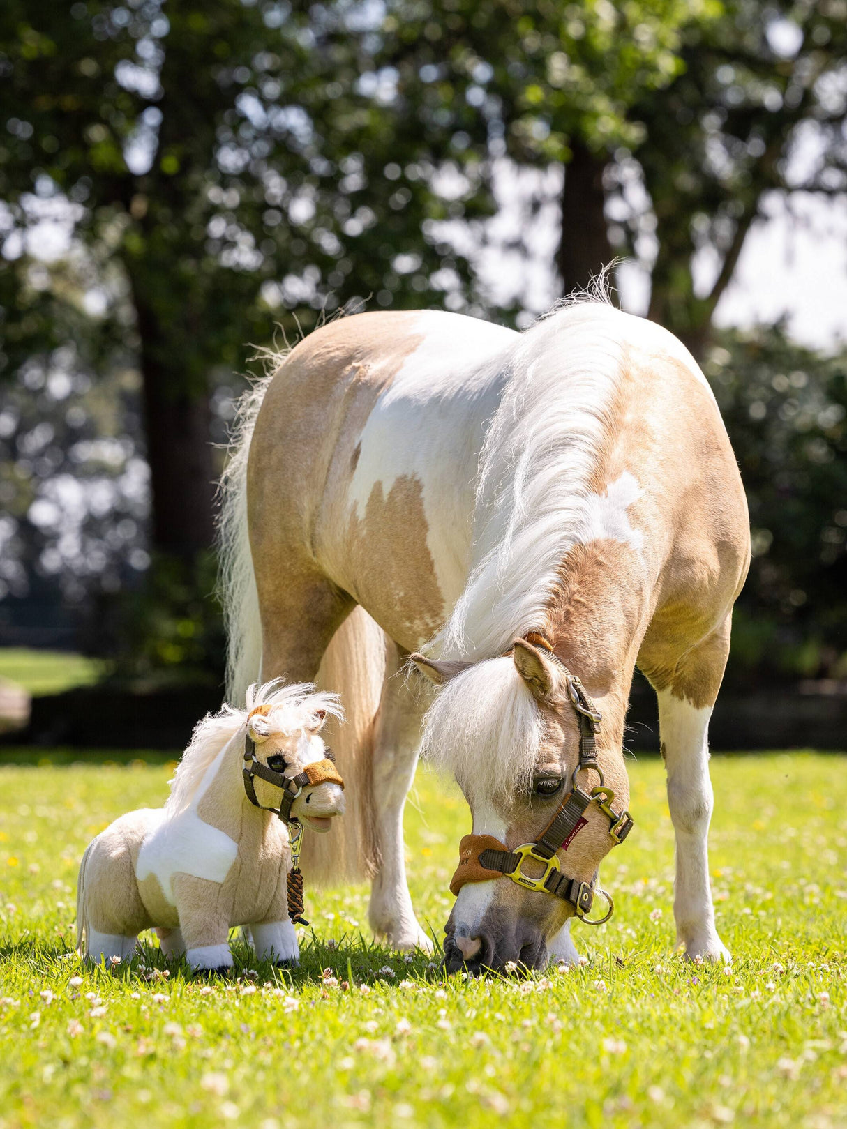 LeMieux Toy Pony Lemon