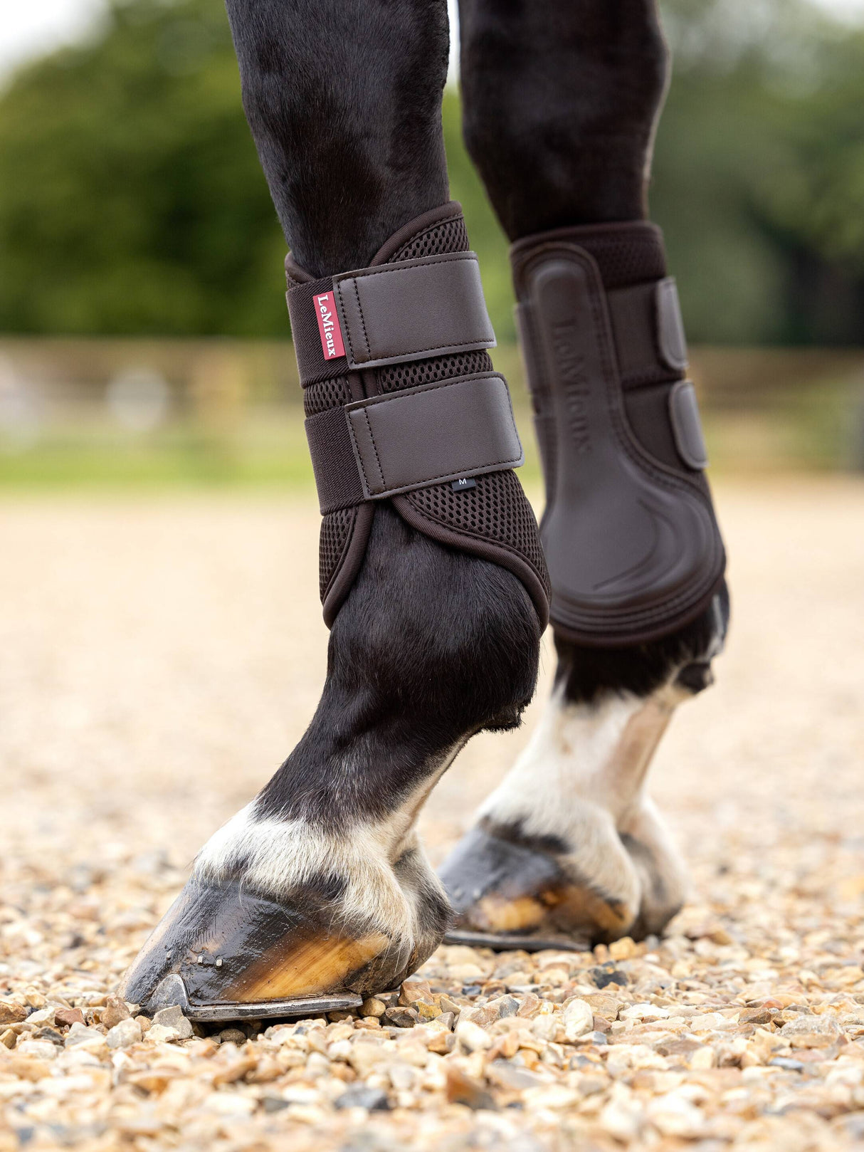 LeMieux Mesh Brushing Boot Brown