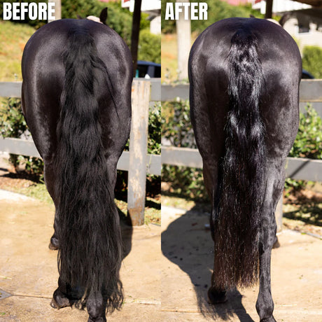 Hairy Pony Terrific Tails Kit