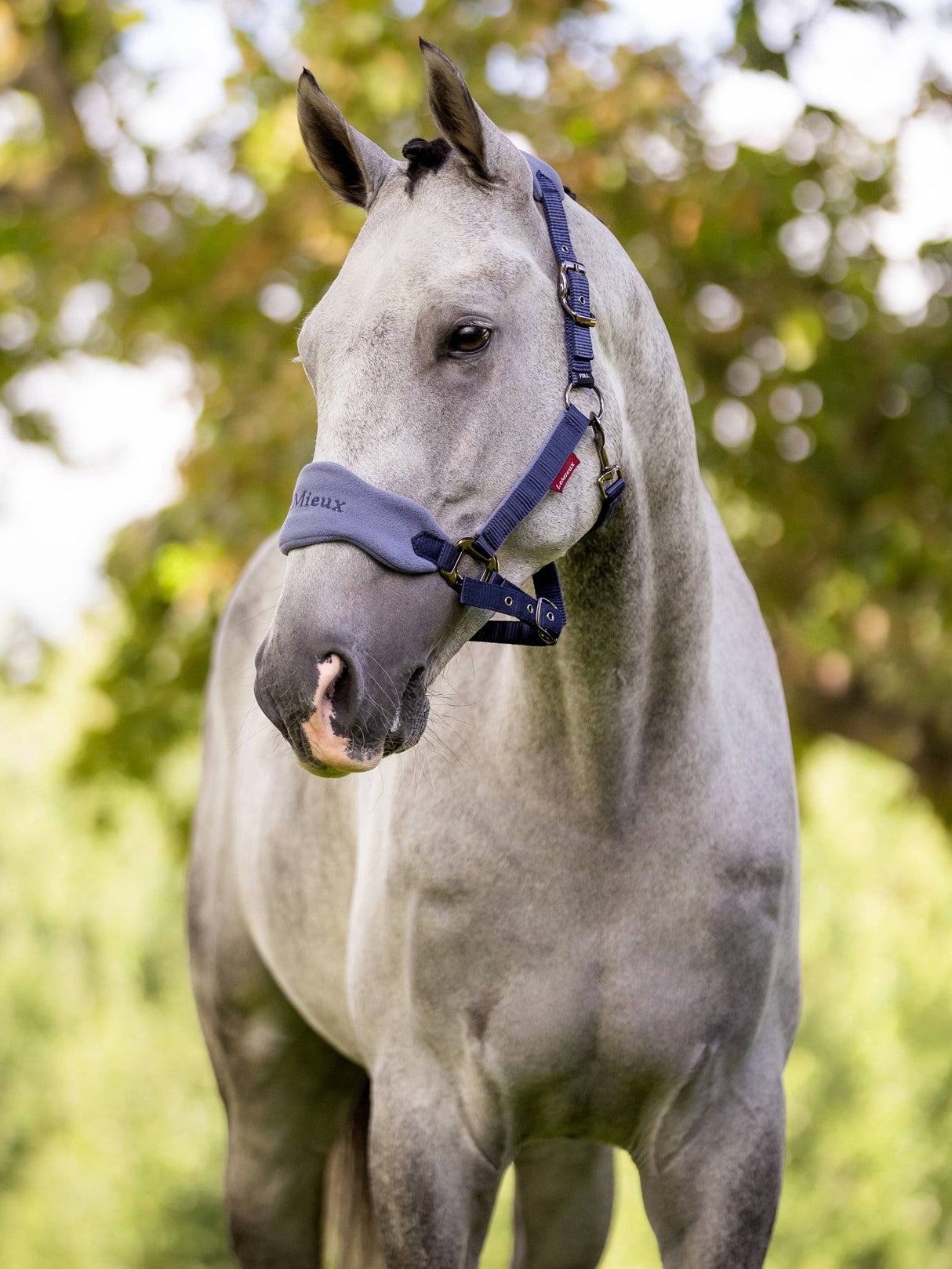 LeMieux Vogue Fleece Headcollar & Leadrope Indigo