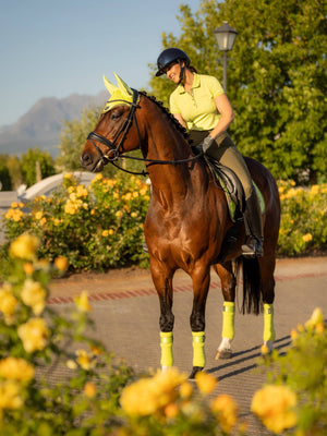 LeMieux Loire Bandages Kiwi