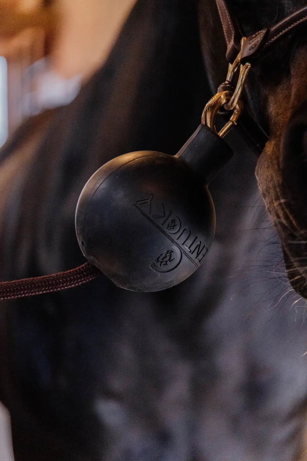 Kentucky Horsewear Rubber Ball Lead & Wall Protection Black