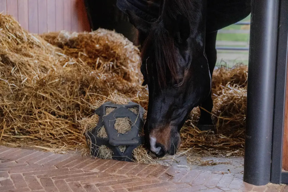 Kentucky Relax Horse Play & Hay Ball Grey