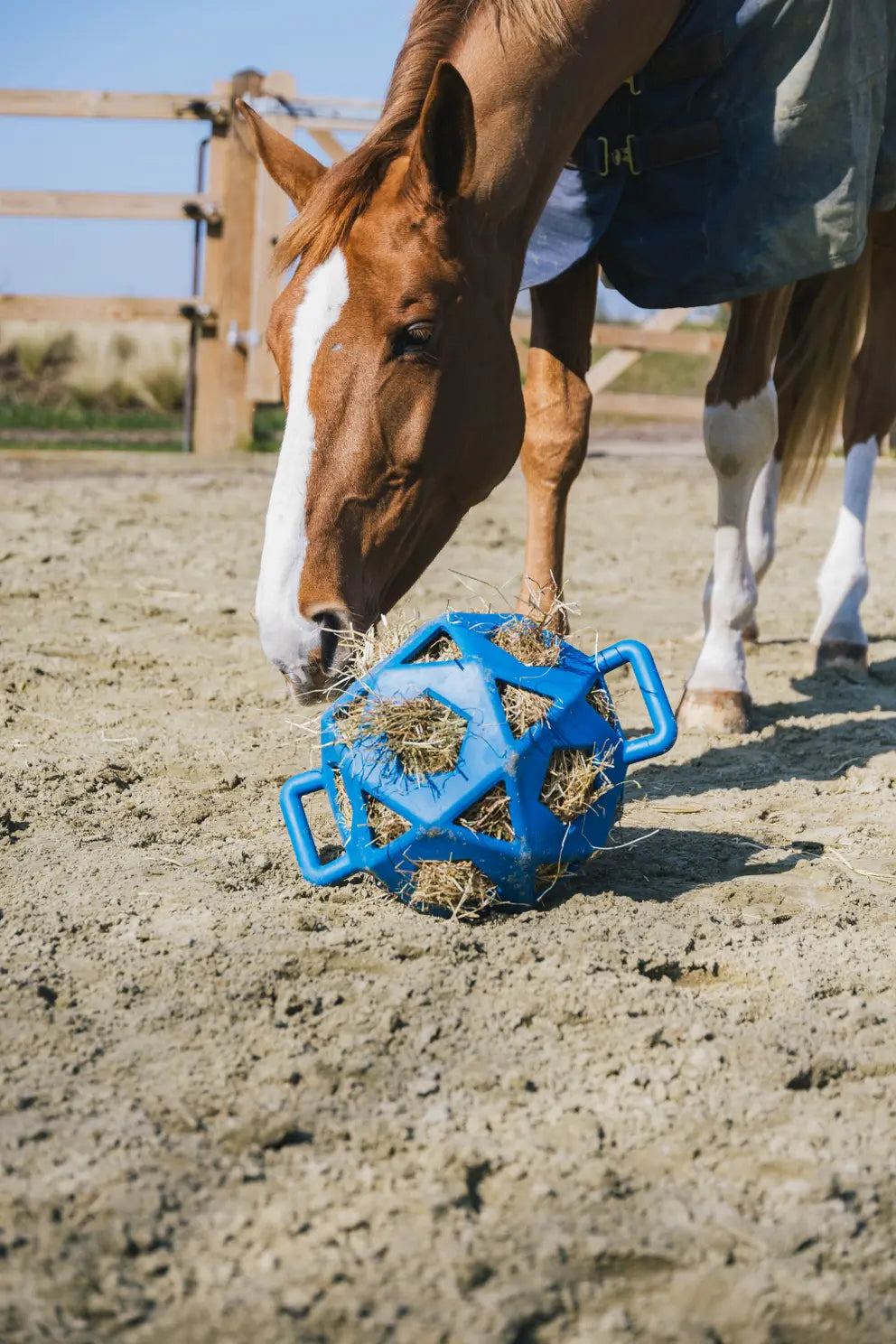 Kentucky Relax Horse Play & Hay Ball Royal Blue