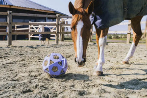 Kentucky Relax Horse Play & Hay Ball Lavender
