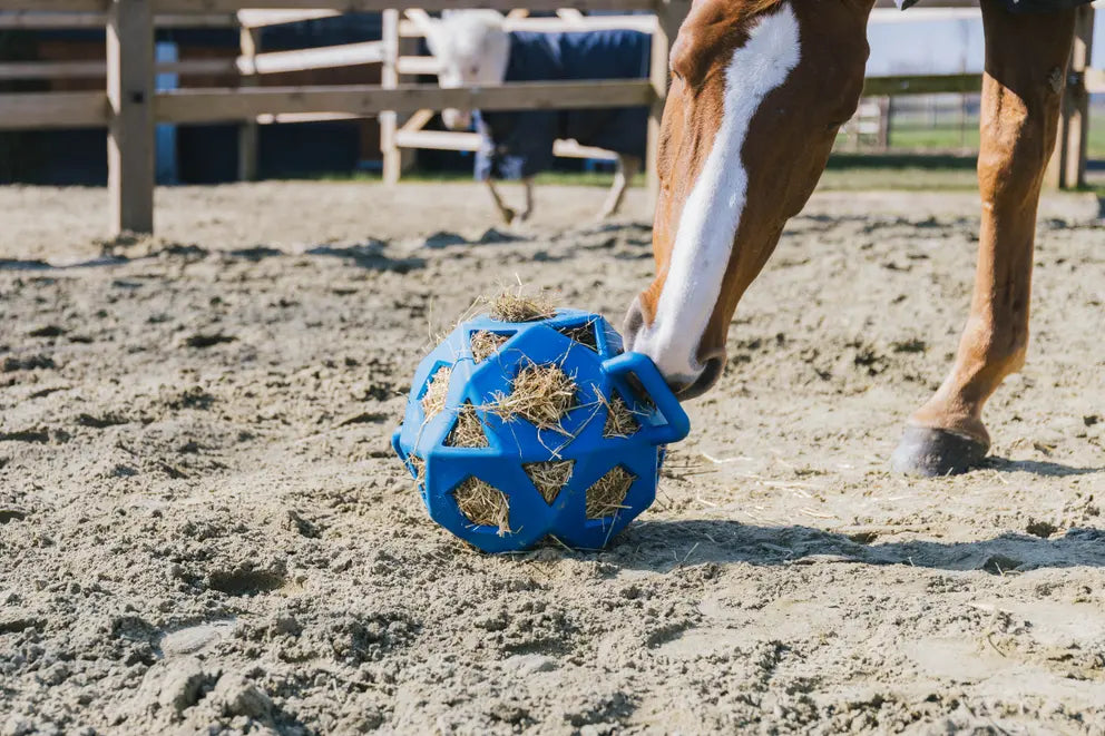 Kentucky Relax Horse Play & Hay Ball Royal Blue