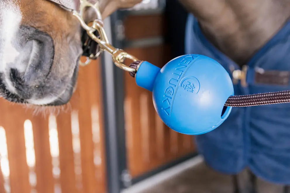 Kentucky Horsewear Rubber Ball Lead & Wall Protection Royal Blue