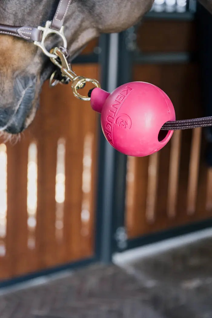 Kentucky Horsewear Rubber Ball Lead & Wall Protection Pink