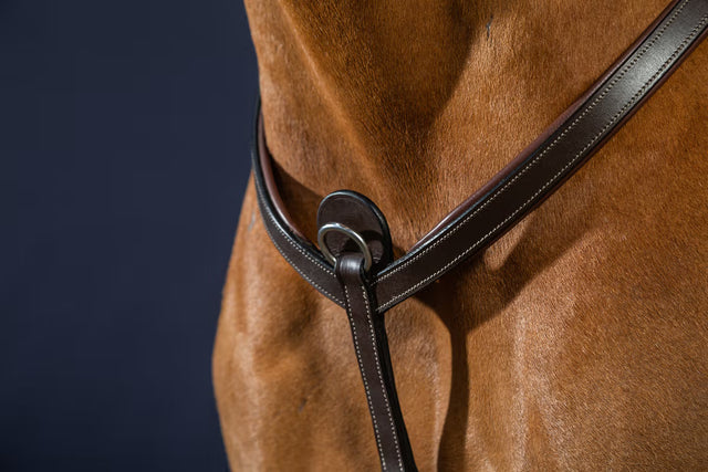 Dy'on Breastplate