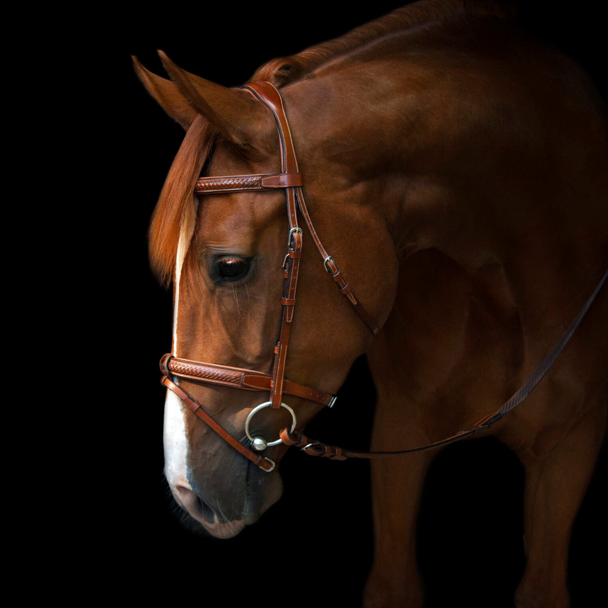 Utzon Equestrian Grand Prix Bridle