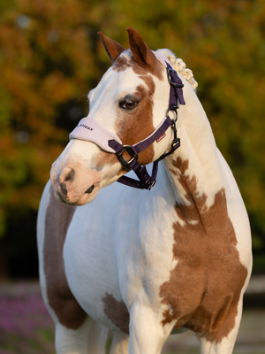 LeMieux Vogue Headcollar & Leadrope Juniper