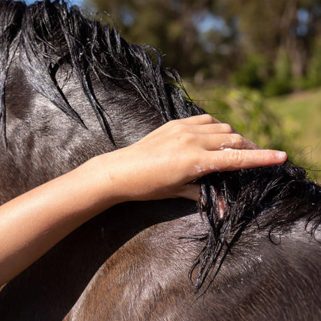 Hairy Pony Hair Repair - Kakadu Plum