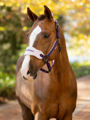 LeMieux Vogue Headcollar & Leadrope Juniper