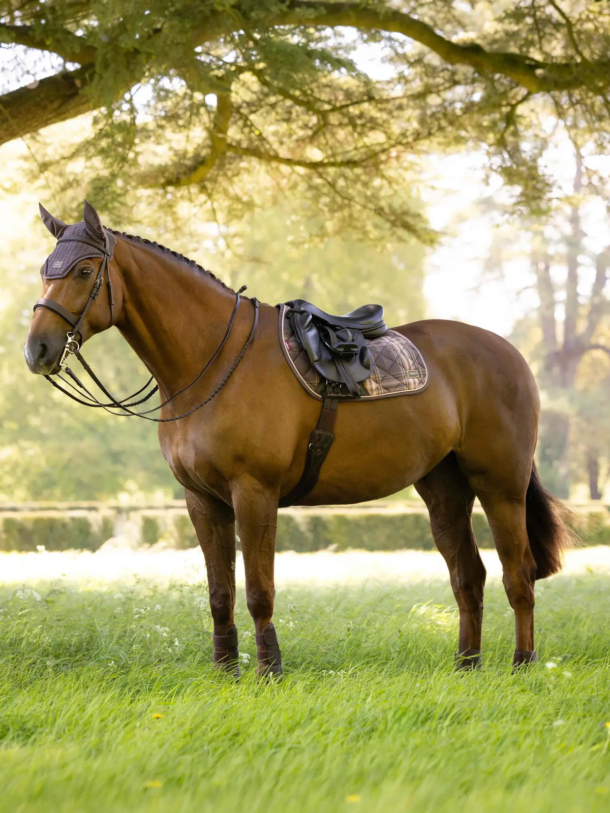 LeMieux Heritage Check Jump Saddle Pad Cocoa