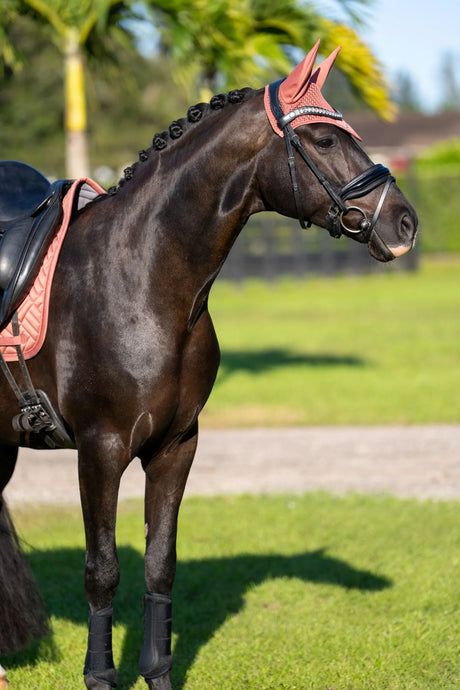Equestrian Stockholm Ear Bonnet Coral