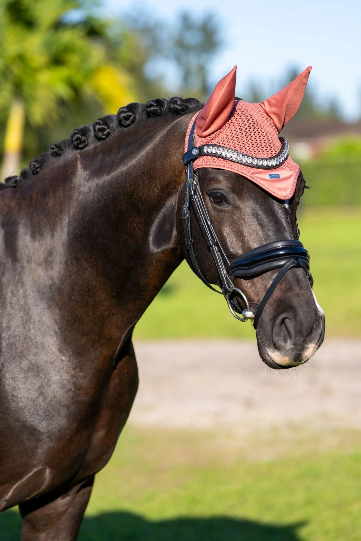 Equestrian Stockholm Ear Bonnet Coral