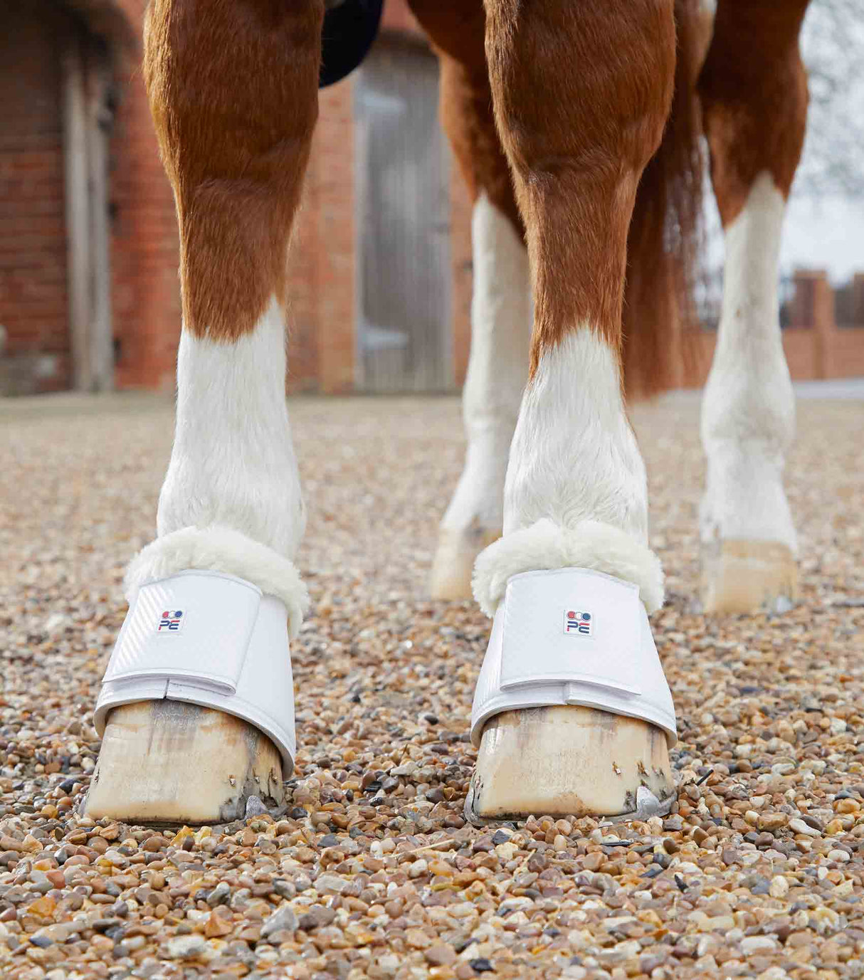 Premier Equine Carbon Tech Techno Wool Over Reach Boots White