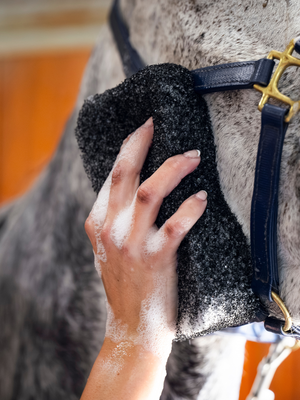 Epona Tiger's Tongue Horse Groomer