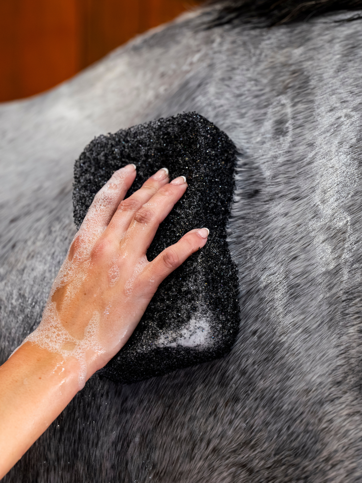 Epona Tiger's Tongue Horse Groomer