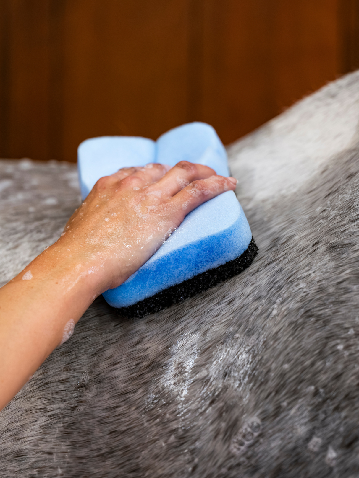 Epona Power Shower Sponge