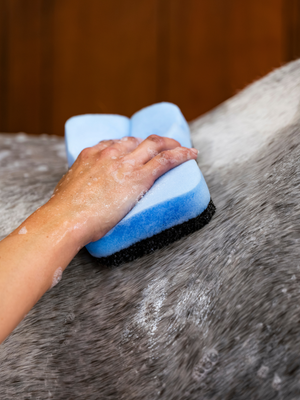 Epona Power Shower Sponge