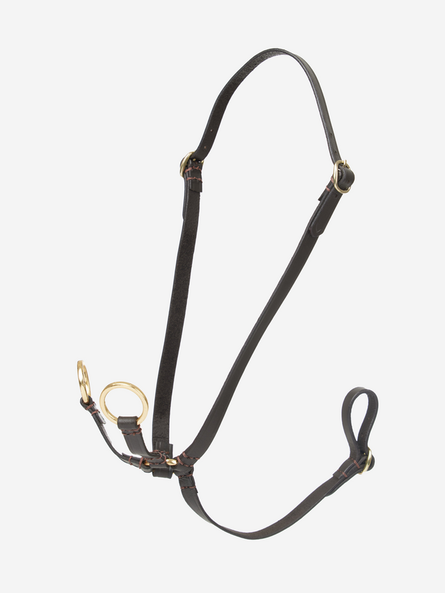 LeMieux Hobby Horse Running Martingale Brown