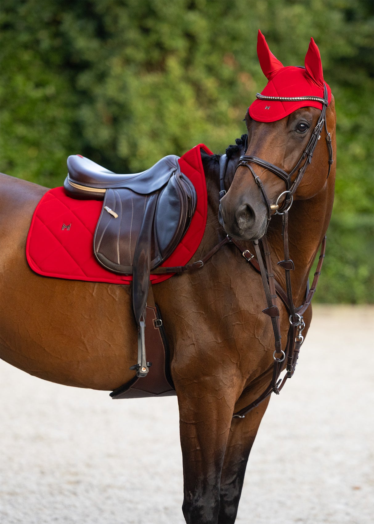Maximilian Velvet Jump Saddle Pad Crimson