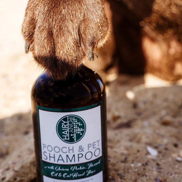 Hairy Pony Pooch & Pet Shampoo