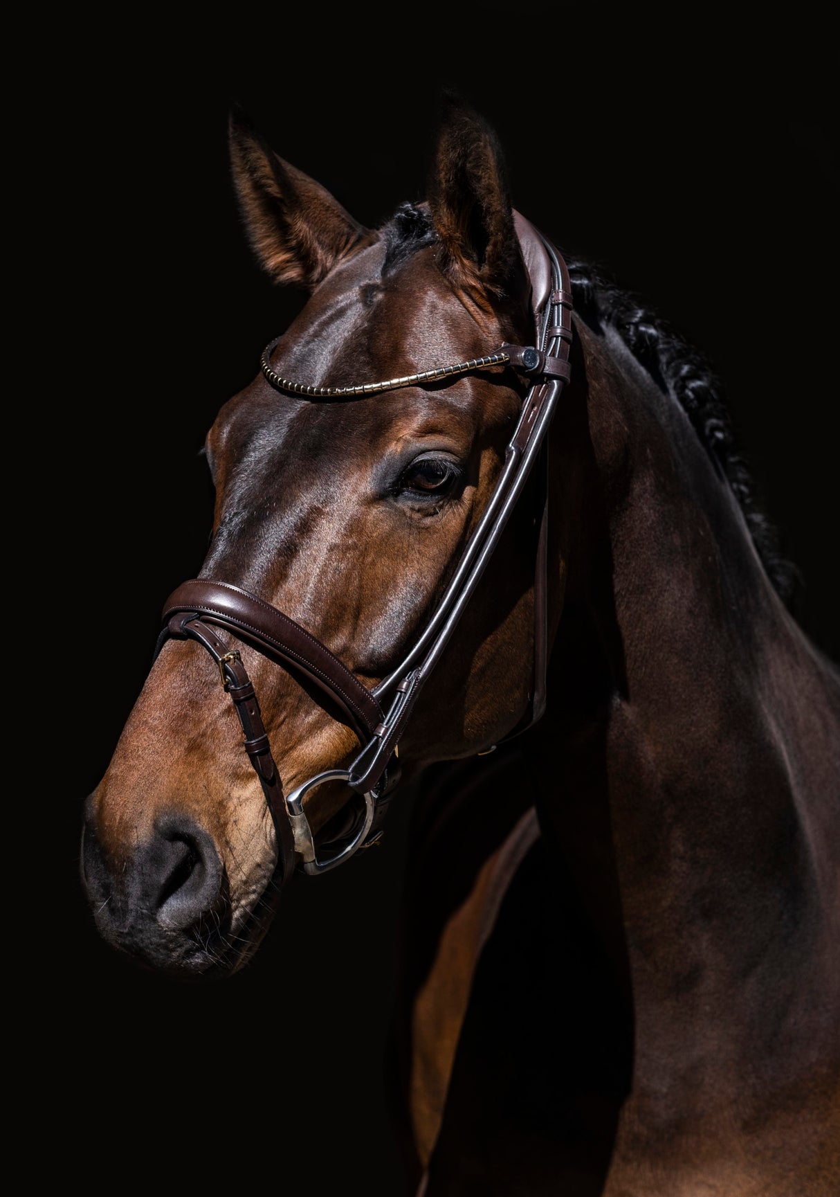 Finesse Himalaya Bridle