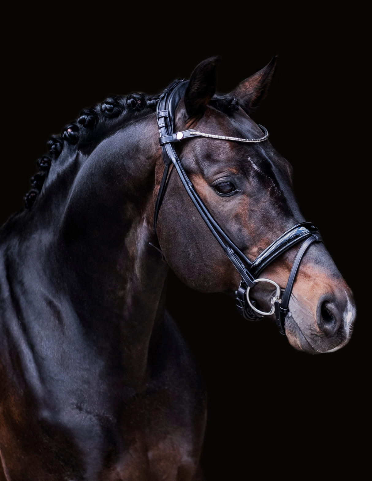 Finesse Himalaya Bridle