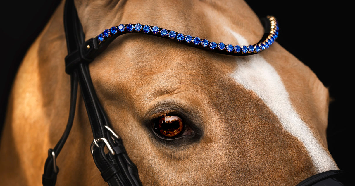 Utzon Equestrian Elegant Browband Sapphire
