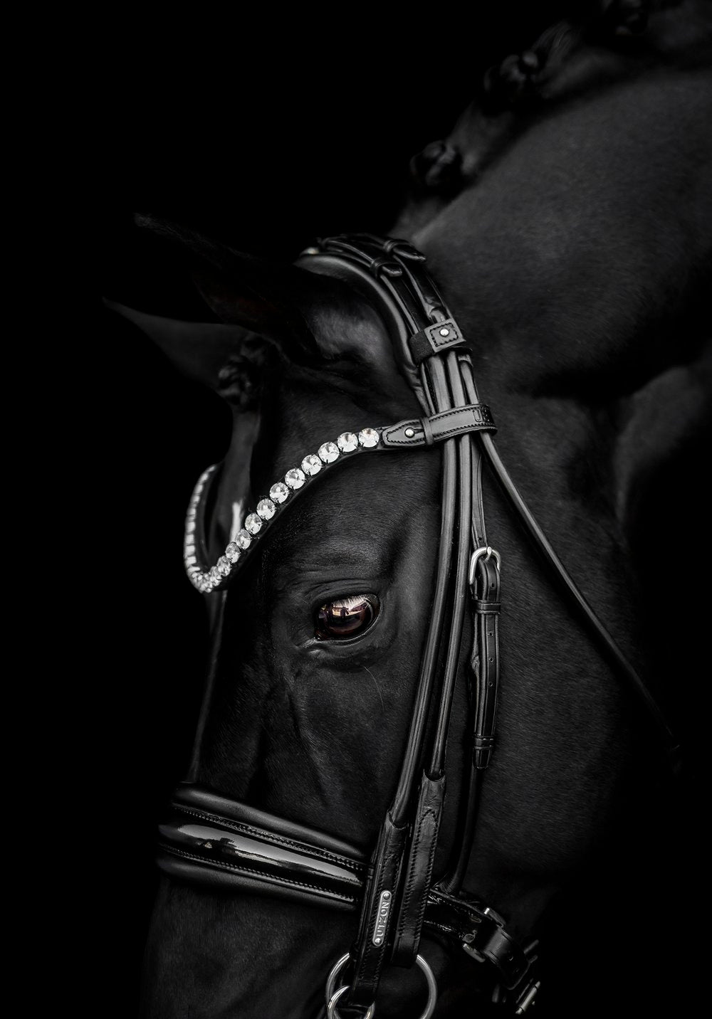 Utzon Equestrian Empire Browband Clear