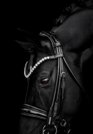 Utzon Equestrian Empire Browband Clear