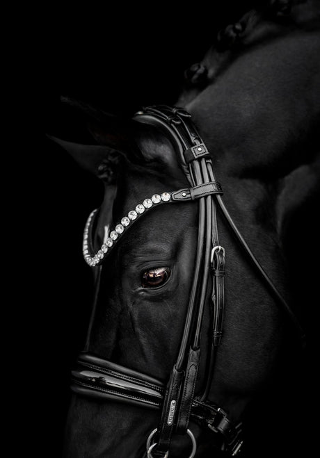 Utzon Equestrian Empire Browband Clear