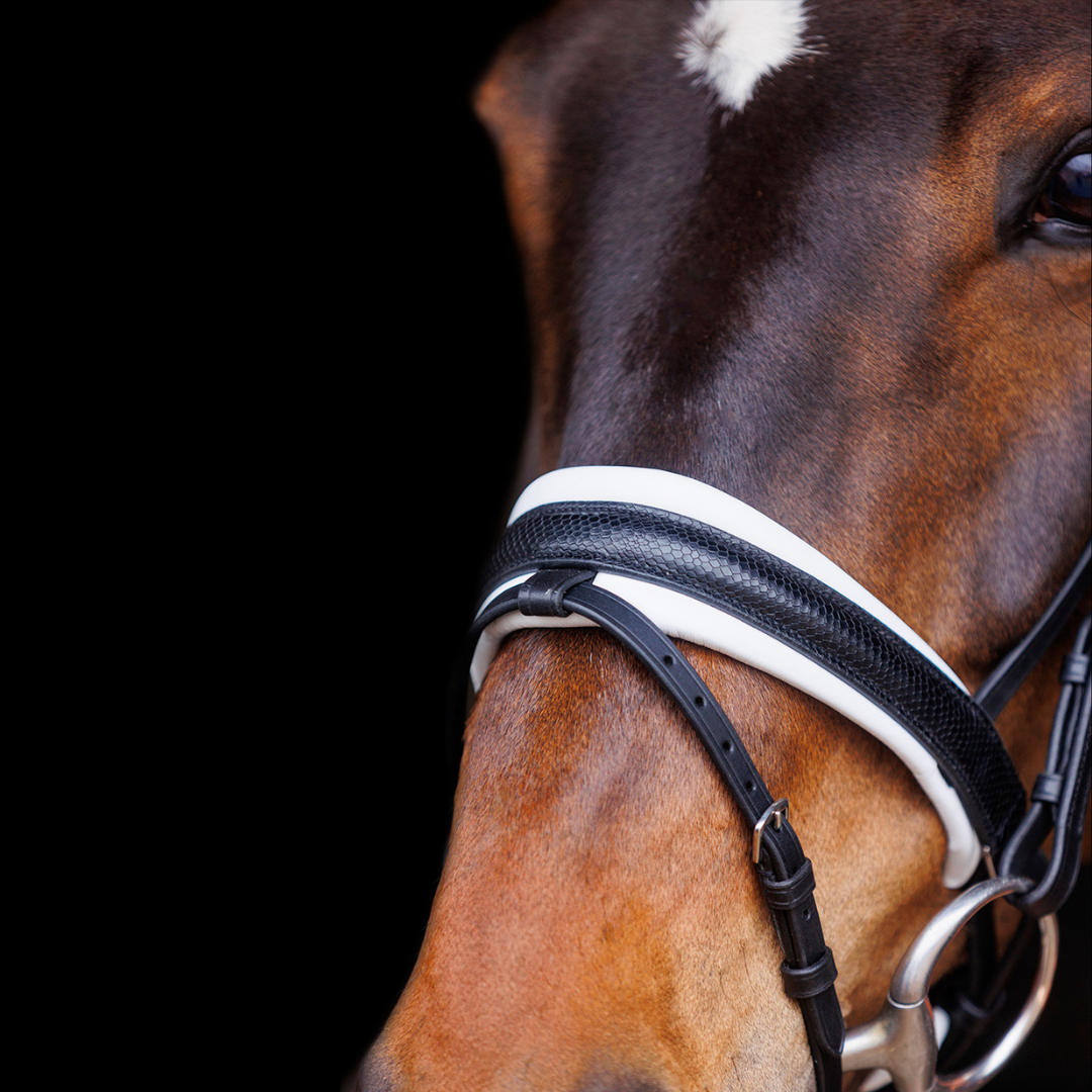 SD Design Hauso Bridle