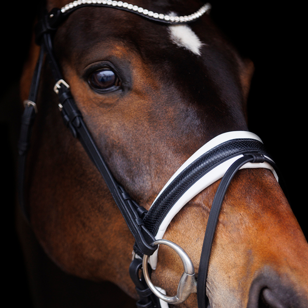 SD Design Hauso Bridle