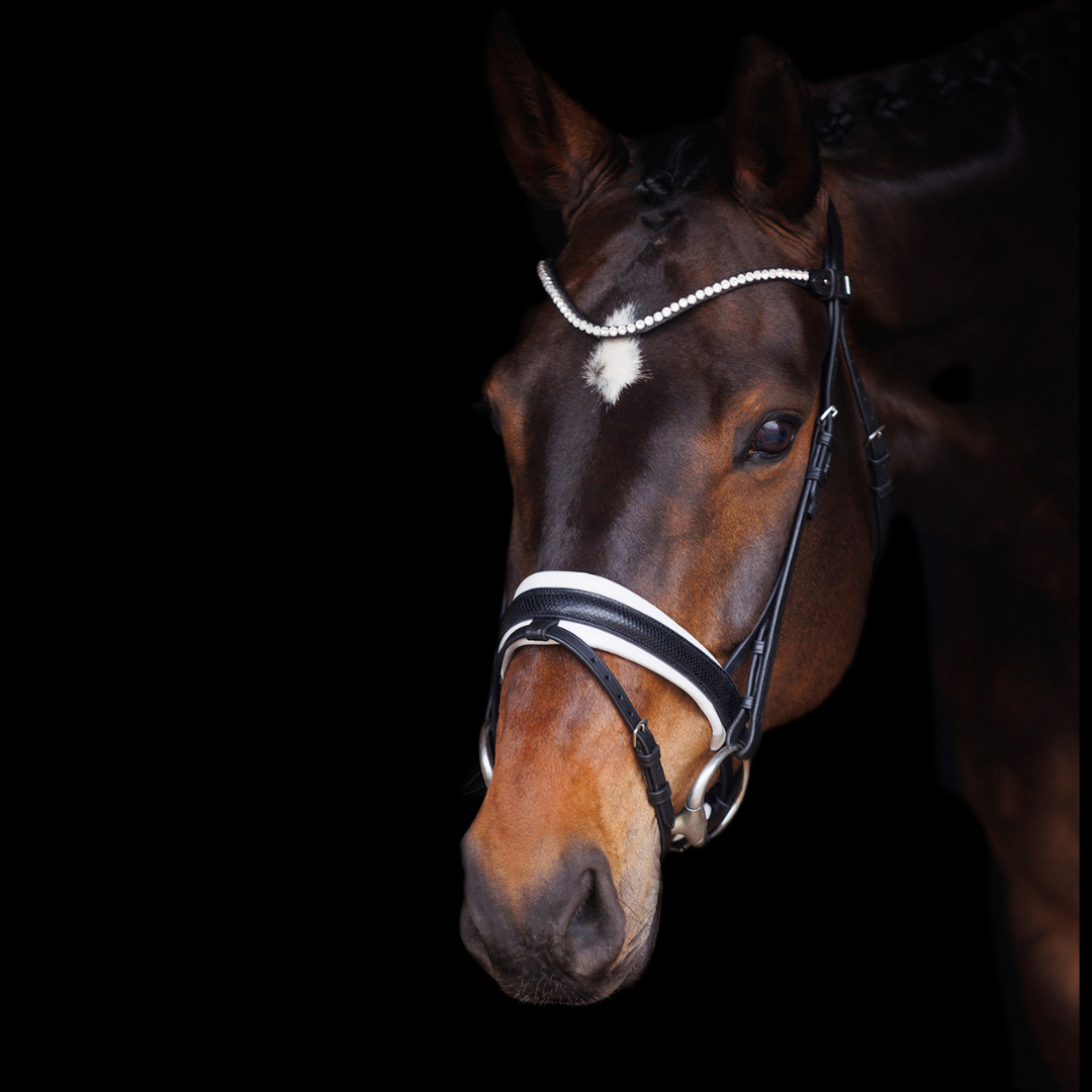 SD Design Hauso Bridle
