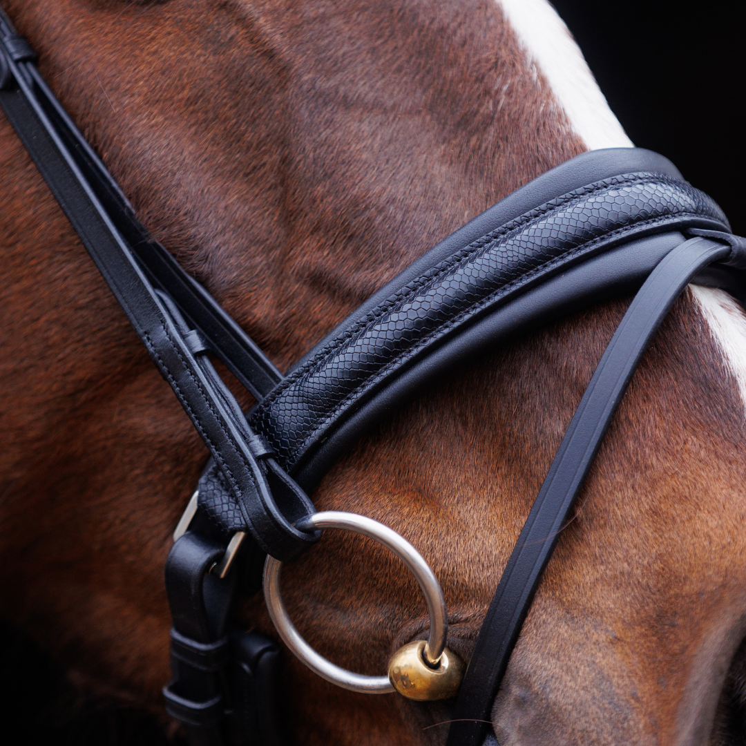 SD Design Hauso Bridle