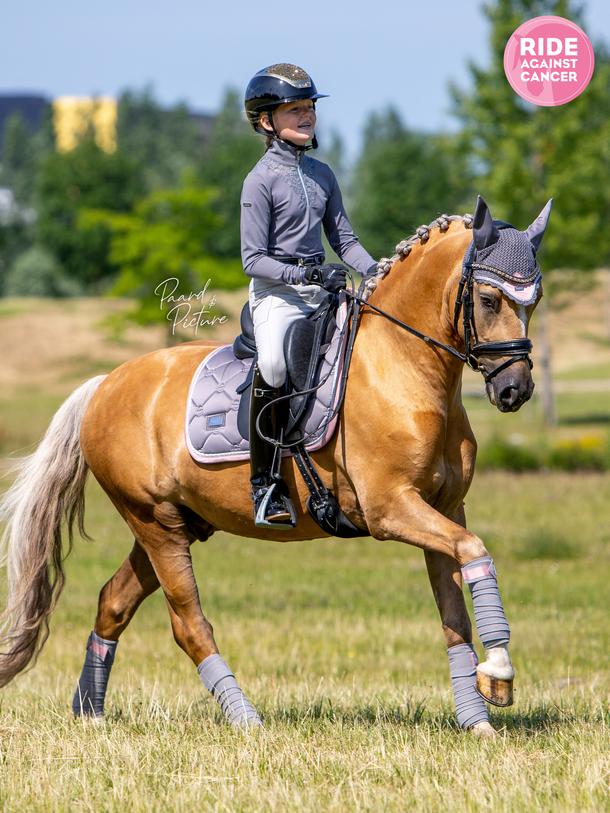 Equestrian Stockholm Bandages Dusty Pink