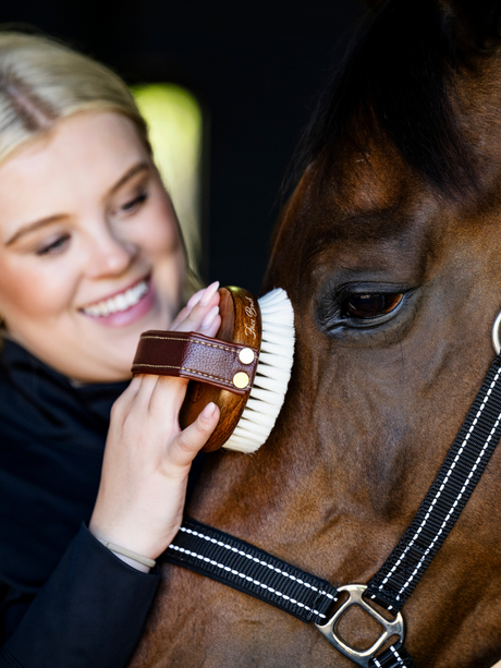 Hairy Pony Face Brush