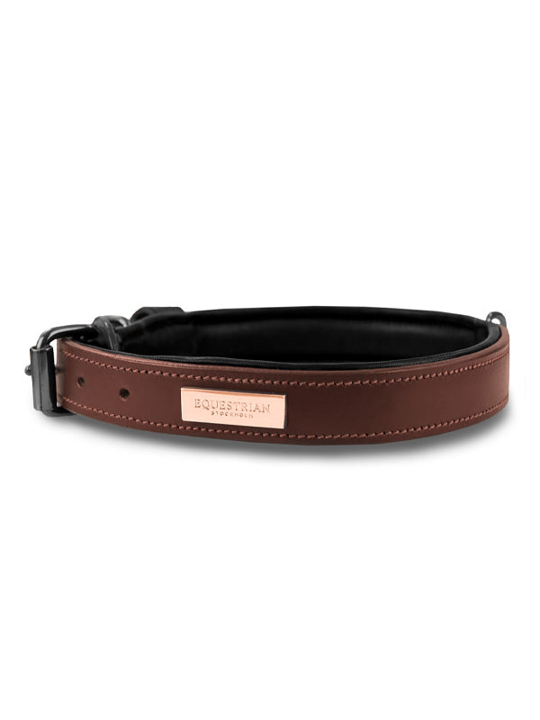 Equestrian Stockholm Clean Dog Collar Endless Glow