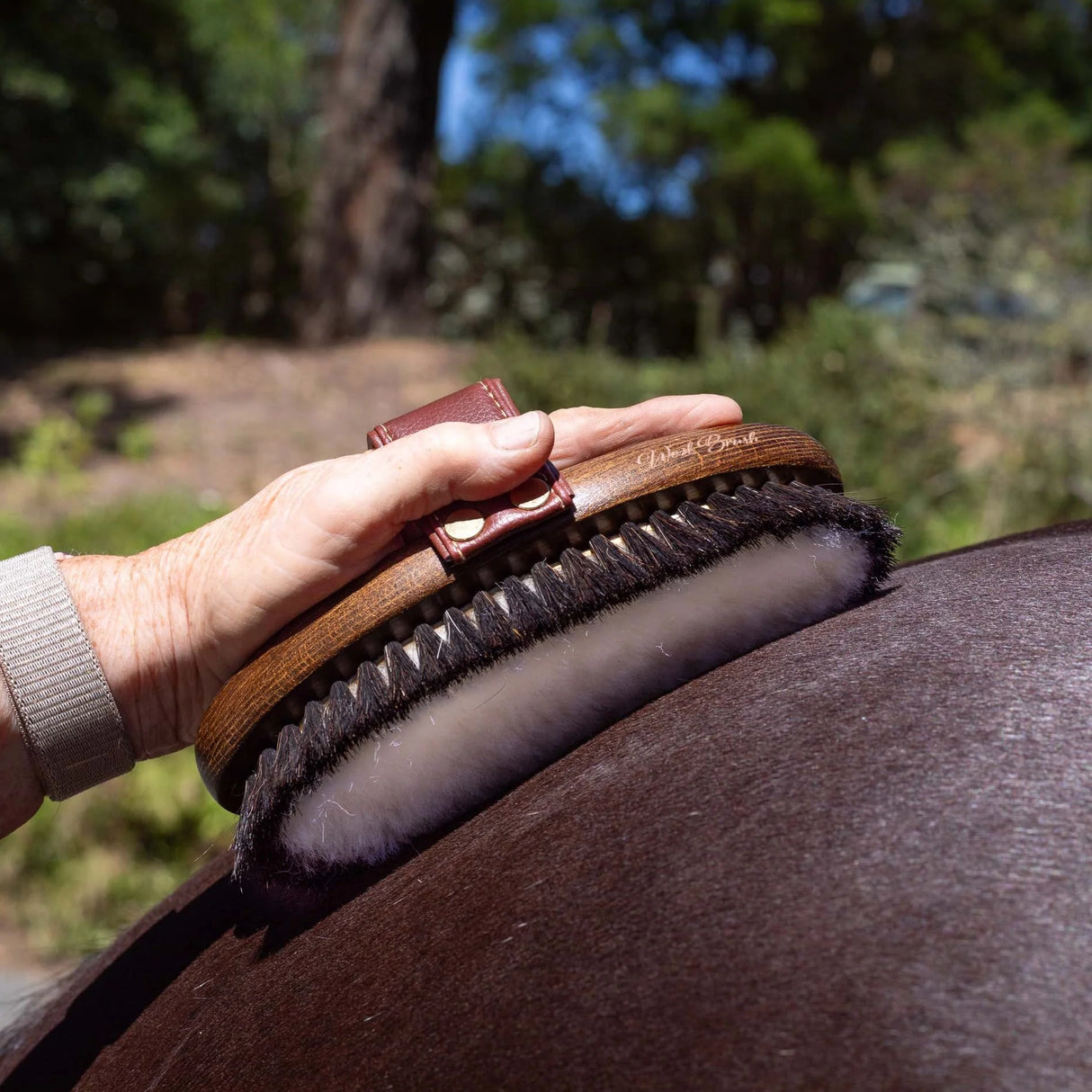 Hairy Pony Wool Brush