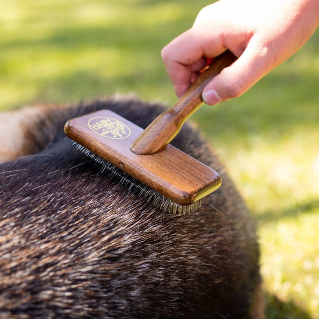 Hairy Pony Pooch Deshedding Dog Brush