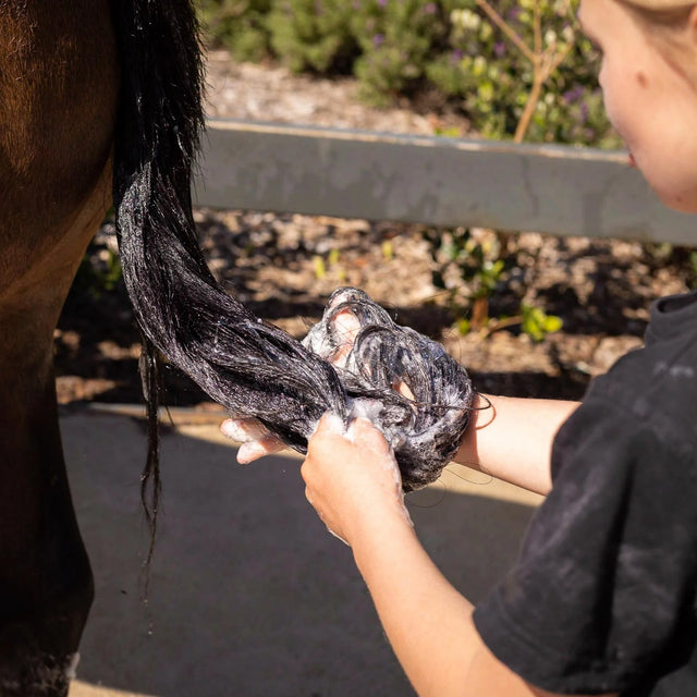 Hairy Pony Natural Horse Shampoo